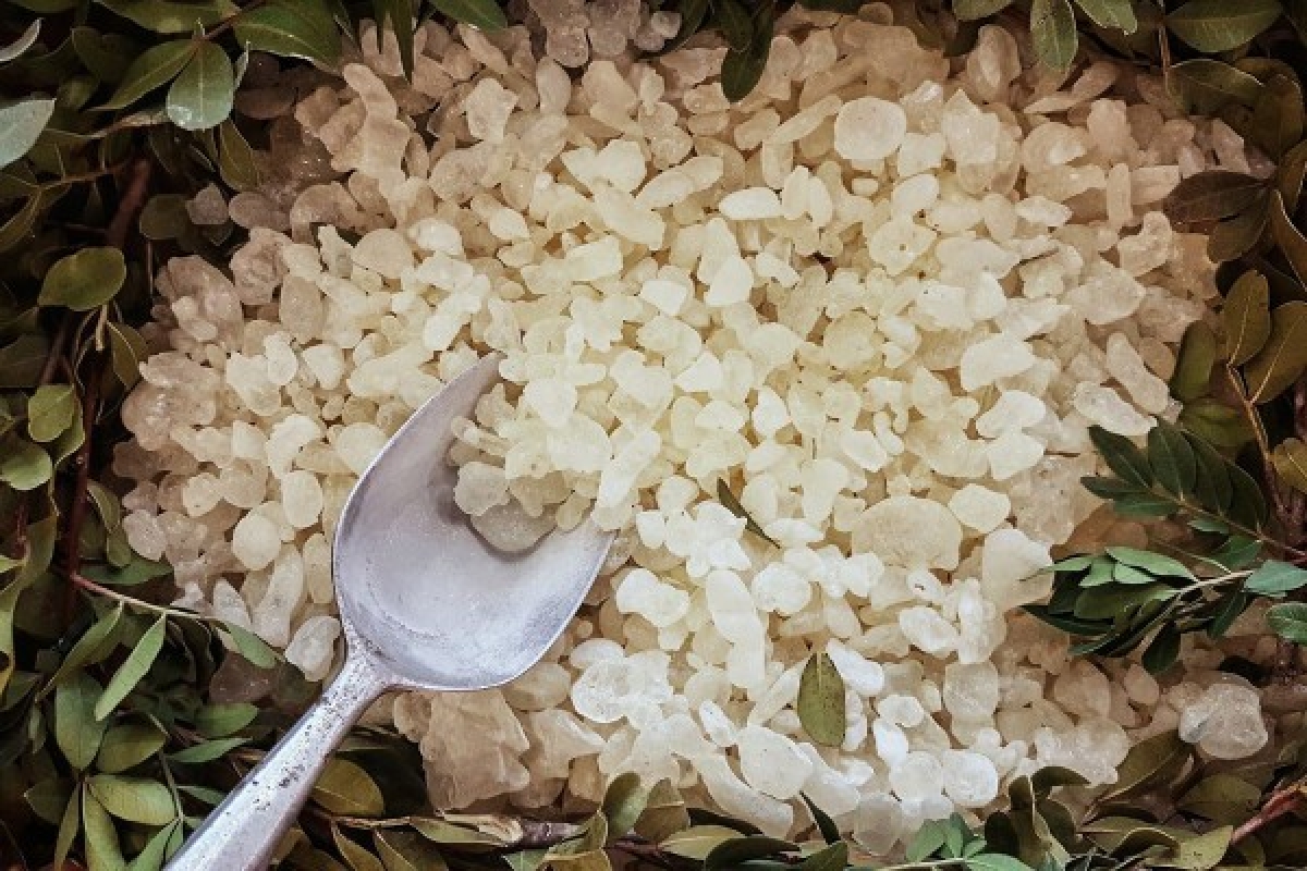 Mastiha(Μαστίχα)