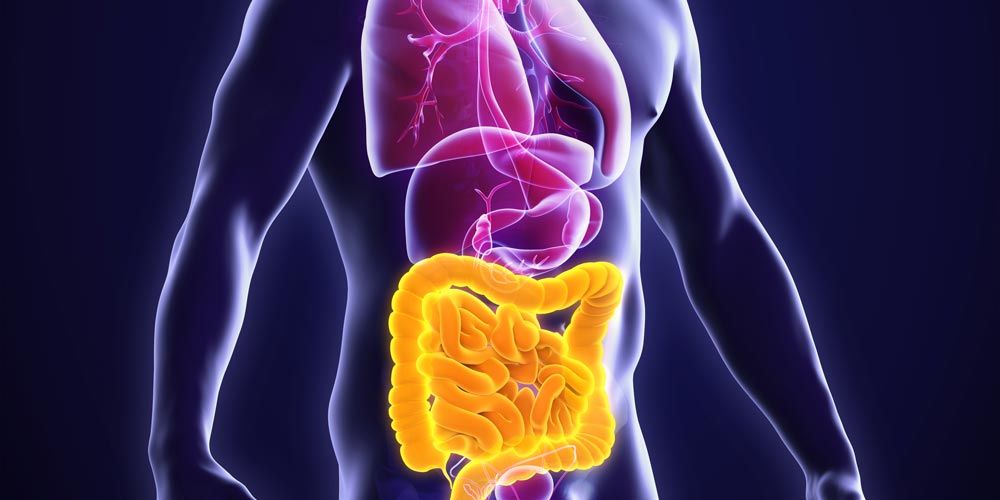 Γαστρεντερικό Σύστημα