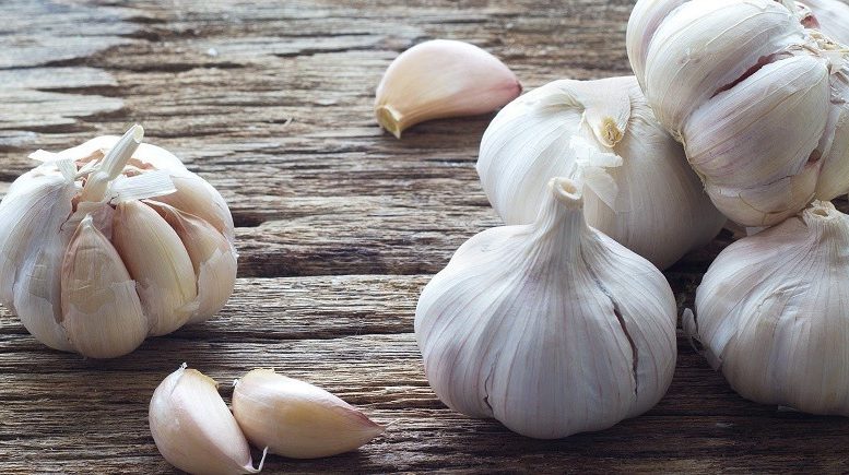 Garlic (Σκόρδο)