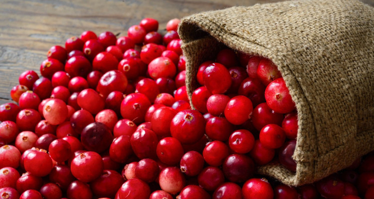 Cranberry (Κράνμπερι)