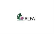 Alfa Gauze