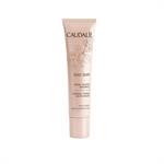 Caudalie Teint Divin Tinted Moisturizer Light to Medium Skin Ενυδατική Κρέμα με Χρώμα 30ml