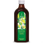 Weleda Bio Χυμός Σημύδας για Αποτοξίνωση 250ml