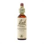 Power Health Dr. Bach Scleranthus 20ml