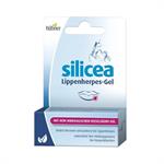 Hubner Silicea Cold Sore Lip Gel With Pure Mineral Silica Gel 2gr