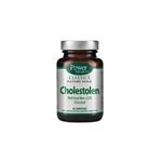 Power Health Classics Platinum Cholestolen Συμπλήρωμα Διατροφής για τη  Μείωση Χοληστερίνης 40caps