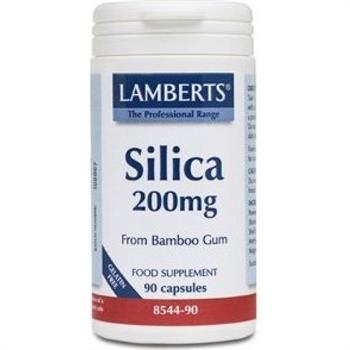 Lamberts Silica 200mg 90caps