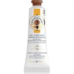 Roger & Gallet Bois D'Orange Hand & Nail Sanitizer 30ml