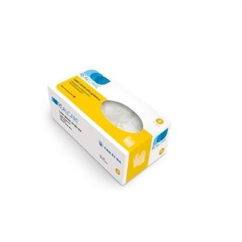 Real Care Γάντια Latex μιας χρήσεως Extra Large 100τμχ