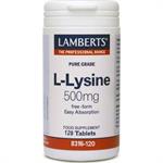 Lamberts L-Lysine 500mg 120tabs