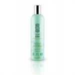 Natura Siberica Anti-dandruff Shampoo κατά της Πιτυρίδας Ευαίσθητο Δέρμα 400ml
