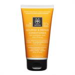 Apivita Nourish & Repair Conditioner με Ελιά & Μέλι για Ξηρά Μαλλιά 150ml