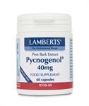 Lamberts Pycnogenol 40mg 60caps