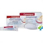Bayer Canespro Σετ Θεραπείας Ονυχομυκητίασης, Αλοιφή 10gr & Αδιάβροχα Επιθέματα 22τμχ & Λίμα Νυχιών