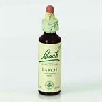 Power Health Bach Larch, 20ml