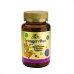 Solgar Kangavites Multivitamin & Mineral Formula Bouncing Berry Vit. C 100mg 60 μασώμενα δισκία