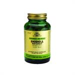 Solgar SFP Rhodiola Root Extract 60caps