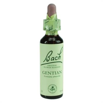 Power Health Bach Gentian 20ml