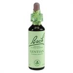 Power Health Bach Gentian 20ml