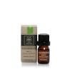 Apivita Essential Oil Patchouli Αιθέριο έλαιο Πατσουλί 10ml