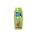 Wash & Go Shampoo Colored Με Εκχύλισμα Ροδιού για Βαμμένα Μαλλιά 700ml