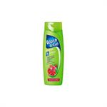 Wash & Go Shampoo Colored Με Εκχύλισμα Ροδιού για Βαμμένα Μαλλιά 400ml
