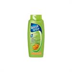 Wash & Go Shampoo Dull - Σαμπουάν 5 Δράσεις σε 1 Με Εκχύλισμα Μελιού 700ml (Θαμπά Μαλλιά)