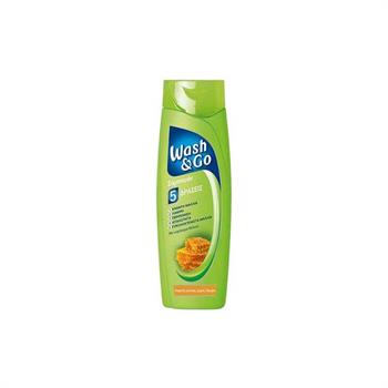 Wash & Go Shampoo Dull - Σαμπουάν 5 Δράσεις σε 1 Με Εκχύλισμα Μελιού 400ml (Θαμπά Μαλλιά)