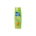 Wash & Go Shampoo Dull - Σαμπουάν 5 Δράσεις σε 1 Με Εκχύλισμα Μελιού 400ml (Θαμπά Μαλλιά)