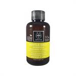 Apivita Mini Shampoo Gentle Daily Για Καθημερινή Χρήση Με Χαμομήλι & Μέλι 75ml