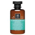 Apivita Shampoo Εξισορρόπησης Με Τσουκνίδα & Πρόπολη Για Ξηρές Άκρες 250ml