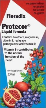Power Health Floradix Protecor 250ml