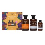 Apivita Set Holly Jolly treats Limited edition Σαμπουάν Λάμψης & Αναζωογόνησης με Πορτοκάλι & Μέλι 250ml
