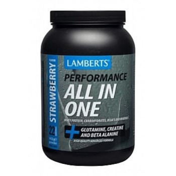 Lamberts Performance All-in-one Strawberry 1450gr