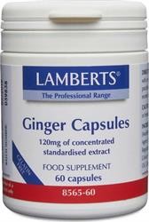 Lamberts Ginger 120mg 60 caps– Συμπλήρωμα Διατροφής με Εκχύλισμα Τζίντζερ