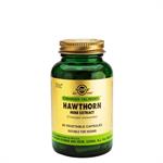 Solgar SFP HAWTHORN HERB EXTRACT 60 Φυτικές Κάψουλες