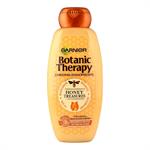 Garnier Botanic Therapy Honey Treasures Σαμπουάν Επανόρθωσης 400ml