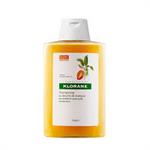 Klorane Shampooing Au Beurre De Mangue Σαμπουάν με Βούτυρο Μάνγκο για Θρέψη στα Μαλλιά 400ml