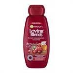 Garnier Botanic Therapy Argan Oil + Cranberry Shampoo 400ml