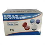 Πλαστική Θήκη Οδοντοστοιχίας Dental Box, 1 τεμάχιο