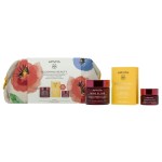 Apivita PROMO Blooming Beauty Wine Elixir Light Texture 50ml & Wine Elixir Νύχτας 15ml & Beessential Oil 1.6ml
