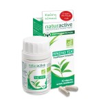 Naturactive Laboratoires -15% Promo Συμπυκνωμένο Εκχύλισμα Πράσινο Τσάι, 60caps