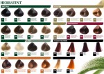 HERBATINT COLOR 3N