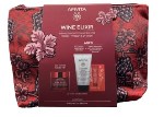 Apivita Promo Wine Elixir Wrinkle & Firmness Lift Cream Rich 40ml & Δώρο Cleansing Milk 3 in 1 50ml & Bee Sun Safe Αντηλιακό 2ml