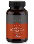 TerraNova Astragalus Elderberry & Garlic 100 φυτικές κάψουλες