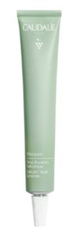 Caudalie Vinopure Salicylic Spot Solution Φροντίδα κατά των Τοπικών Ατελειών, 15ml
