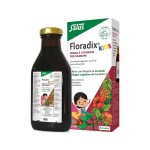 Power Health Floradix Kids Συμπλήρωμα Διατροφής με Σίδηρο και Βιταμίνες για Παιδιά 250ml
