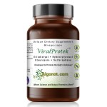 Viralprotek 60 veg caps Fytoiasis
