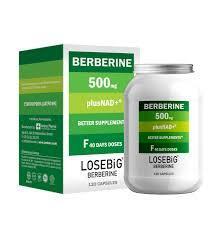 Losebic Berberine 500mg – 120 κάψουλες – Συμπλήρωμα με Βερβερίνη Υψηλής Ποιότητας