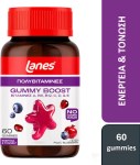 Lanes Gummy Boost Πολυβιταμίνη για Ενέργεια Ρόδι & Μύρτιλο 60 ζελεδάκια